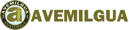 Vanguard